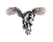 Pegasus Mythical Winged Horse From Splash Of Watercolors. Hand Drawn Sketch
