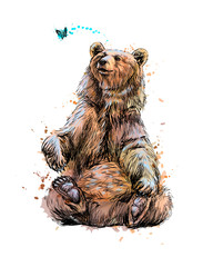 Wall Mural - brown bear sitting and playing with butterfly from a splash of watercolor