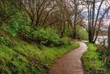 Fototapeta Sawanna - Walking path surrounded by dense plants and a river in Folsom, California hiking trail