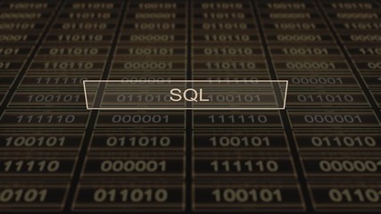 Computer Digital Tab Series - SQL