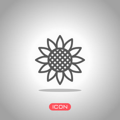 Poster - Sunflower, plant. Nature icon. Icon under spotlight. Gray background