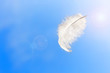 Single white feather float in the air.