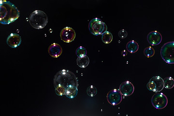 Wall Mural - Beautiful colorful soap bubbles floating in the dark.