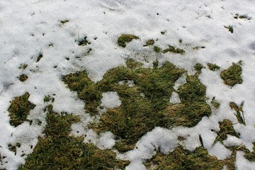 melting snow on a lawn
