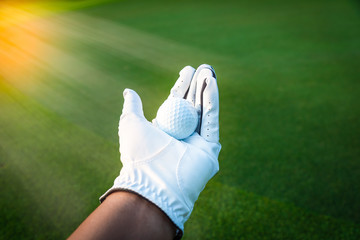 Wall Mural - Close up golf ball in golf glove hand with green grass and sunlight ray