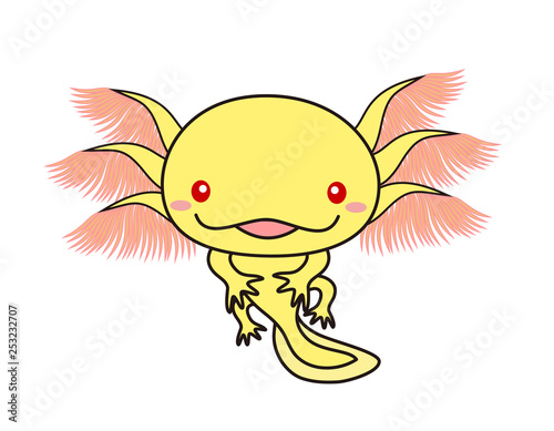 ウーパールーパー 全身 Axolotl ゴールデン アルビノ Buy This Stock Illustration And Explore Similar Illustrations At Adobe Stock Adobe Stock