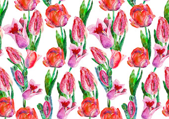 Tulip seamless pattern. Watercolor a bouquet of spring red pink tulips isolated on white background