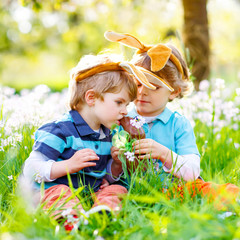 Two little kids boys and friends in Easter bunny ears during traditional egg hunt in spring garden, outdoors. Siblings eating chocolate bunnies and eggs. Old christian and catholoc tradition.