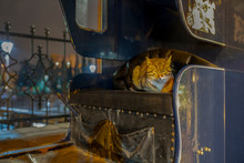 Yellow Tabby Cat Lies In The Seat Of The Phaeton/carriage In Hamamonu District Which Is Popular With Old Turkish Houses, Ankara, Turkey