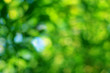 © nongpriya - Abstract green bokeh with blurred background.