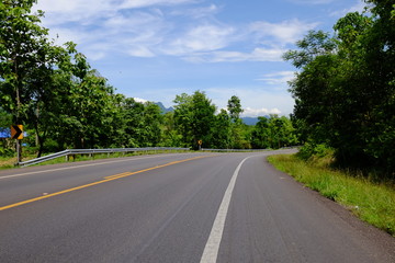 Street view that is a provincial route Heading to the forest area with two green trees