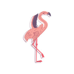 Wall Mural - pink flamingo with wide open wings standing on one leg, side view. beautiful topical bird. hand draw
