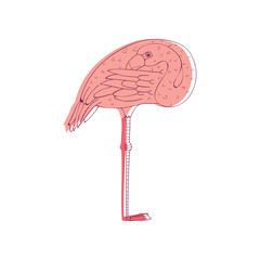 Wall Mural - pink flamingo cleaning its feathers. large exotic bird with long neck and legs. fauna theme. hand dr
