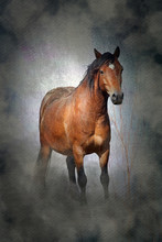 Welsh Cob Pony Horse With A Moody Misty, Grungy Texture Background