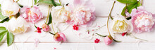 Delicate White Pink Peony With Petals Flowers And White Ribbon On Wooden Board. Overhead Top View, Flat Lay. Copy Space.