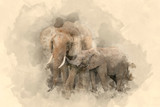 Fototapeta  - Beautiful watercolour painting of Mother and Calf Baby African Elephant Loxodonta Africana