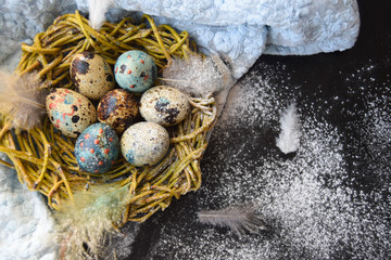 bright Easter background; Easter eggs basket and sprig flowers on blue table background