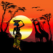 Africa panorama, ethnic, savannah, sunrise, sunset. Giraffe, silhouette,  nature, travel.
