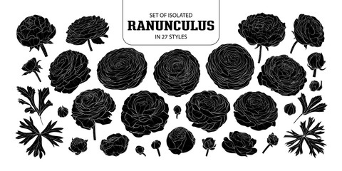 Wall Mural - Set of isolated silhouette Ranunculus in 27 styles.