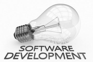 Software Development