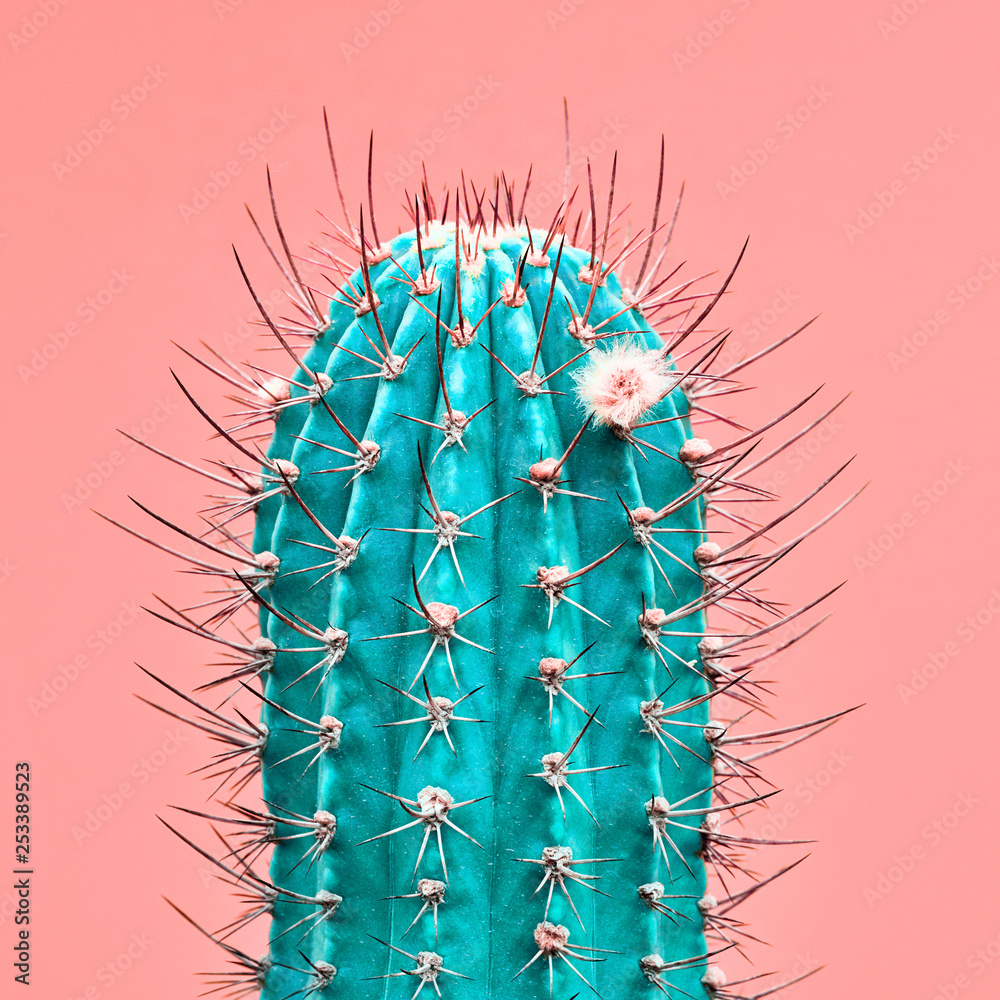 Cactus green colored on coral background. Minimalism. Contemporary Art gallery Style. Creative fashion concept. Close-up tropical fashionable plant, pastel color - obrazy, fototapety, plakaty 