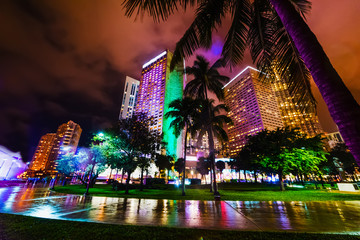 Palms and colorful skyscrapers in downtown Miami at night