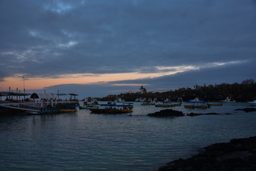 Wall Mural - sunset over harbour