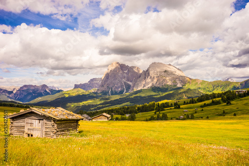 Italy, Alpe di Siusi, Seiser Alm with Sassolungo Langkofel ...