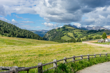 Alpe di Siusi, Seiser Alm with Sassolungo Langkofel Dolomite, a field with a mountain in the background