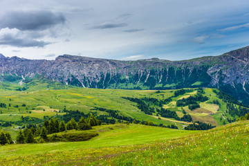 Alpe di Siusi, Seiser Alm with Sassolungo Langkofel Dolomite, a large green field with a mountain in the background