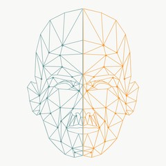 Wall Mural - human face low polygon. wireframe mash head shape consisting of connected dots and lines. abstract h