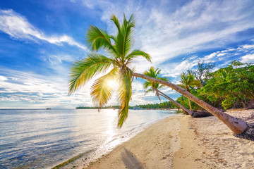 Canvas Print - Beautiful sunny morning on tropical beach in Dominican republic