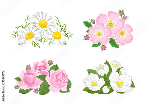Flowers set. Bouquet of сhamomile, wild rose, dogrose