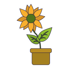 Wall Mural - Sunflower in pot cartoon