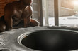 © alfa27 - CrossFit Tire Technique. Powerful african half naked bodybuilder demonstrates rules and order of training with improvised powerlifting element in fitness club, close up