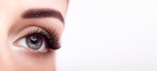 Wall Mural - female eye with extreme long false eyelashes. eyelash extensions. makeup, cosmetics, beauty. close u