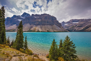 Canvas Print -  Bow Lake, surrounded by pine trees