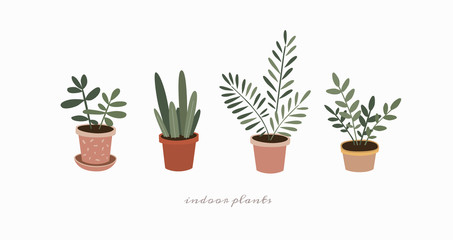 Set of indoor plants in flower pots. Home green plants of various shapes. Scandinavian style illustration, home decor. Vector illustration on white isolated background.