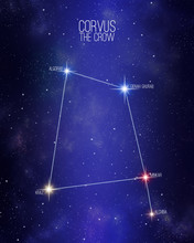 Corvus The Crow Constellation On A Starry Space Background With The Names Of Its Main Stars. Relative Sizes And Different Color Shades Based On Spectral Star Type.