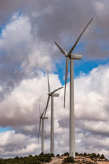 Wall Mural - Field of wind generators