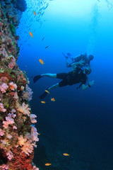 Sticker - Scuba diving on coral reef 