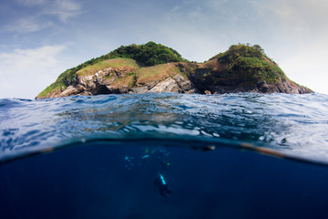 Wall Mural - Scuba diving on coral reef 