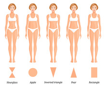 Forms Of Female Body Type. Various Figures Of Women. Vector.
