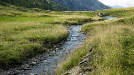 Wall Mural - water stream small river on mountain top