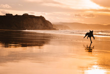  Lovely Happy Dog ​​running On The Beach In An Amazing Sunset