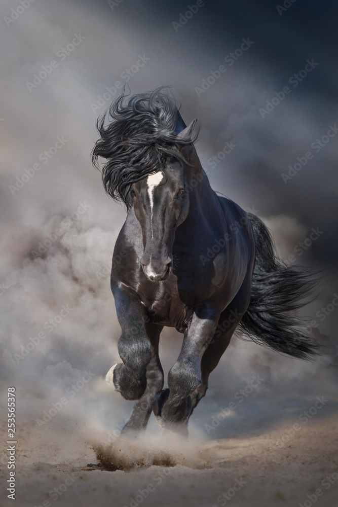 Black stallion run on desert dust against dramatic background - obrazy, fototapety, plakaty 