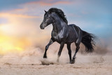 Fototapeta Konie - Black stallion run on desert dust against dramatic background