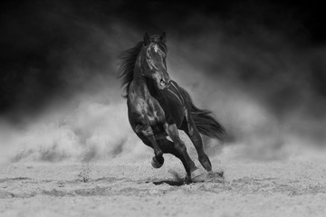 Wall Mural - Black stallion run on desert dust against dramatic background. Black and white