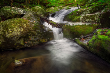 Wall Mural - Cascades of Hogcamp Branch