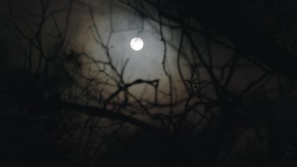 rack focus to a spooky full moon on a foggy night